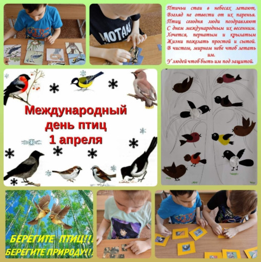 "День птиц" "День птиц".